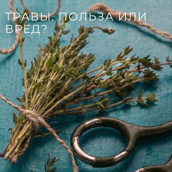Травы или таблетки? Правда о фитотерапии